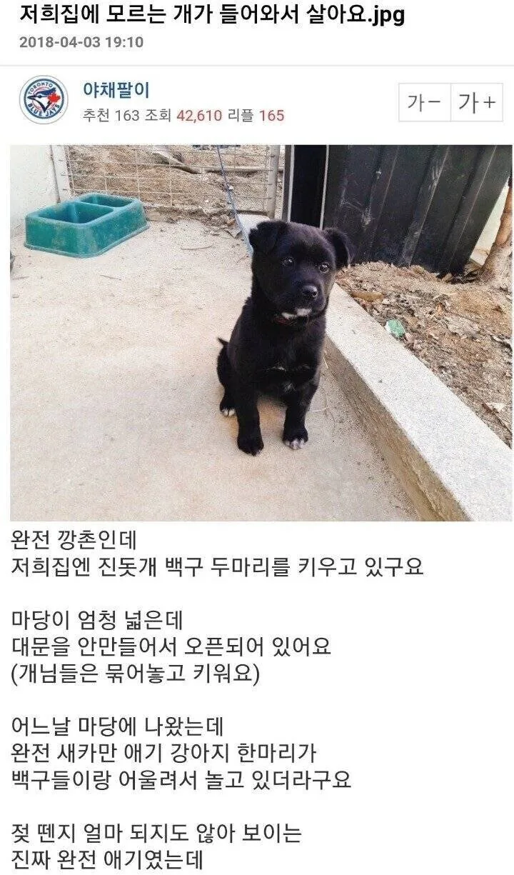 신작 프리큐어에서 다들 빙순이 누나에 환장하느라 망각하는 것 이미지 6