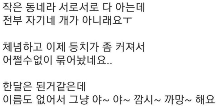 어느날 갑자기 제 집마냥 눌러앉은 녀석_3.jpg