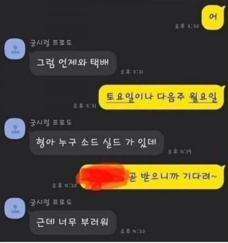 포켓몬 게임이 너무 가지고 싶었던 동생과 카톡.JPG_11.webp