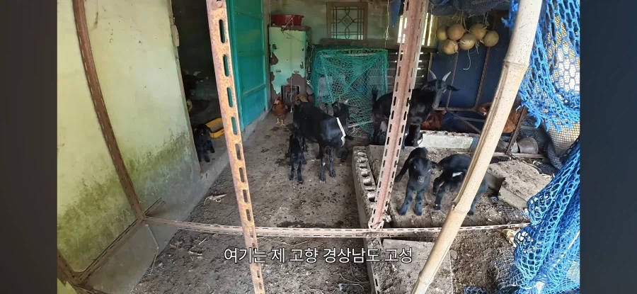 유튜브 아무나 하는거 아닌듯_3.webp