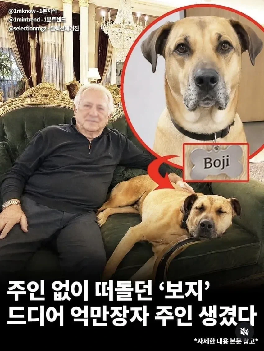 주인없이떠돌던 보지.jpg_1.webp