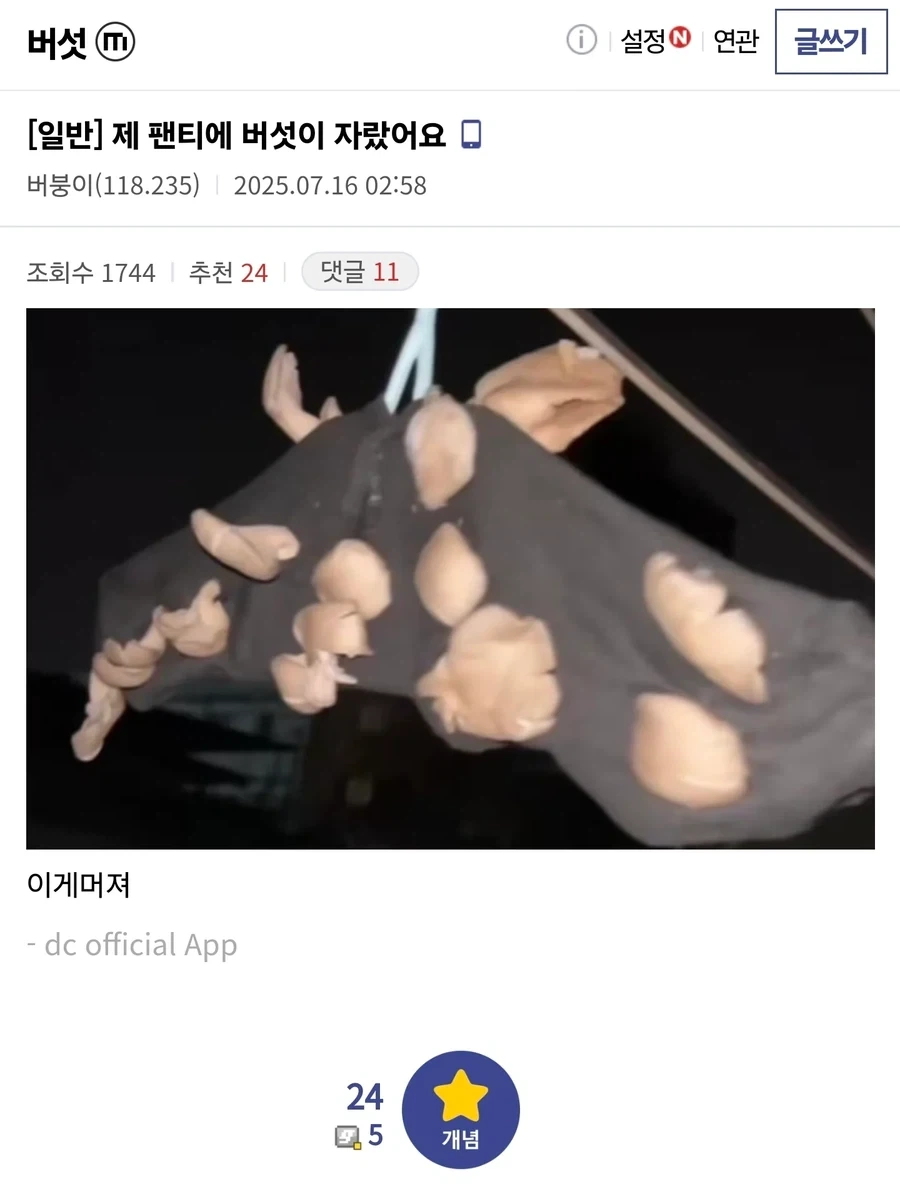 제 팬티에 버섯이 자랐어요_1.webp