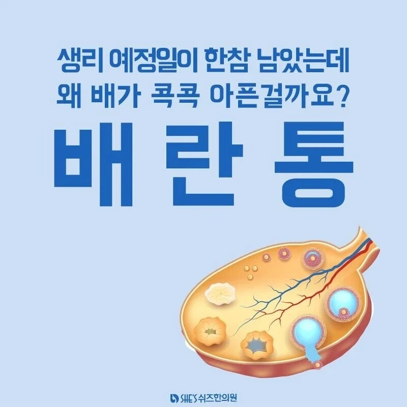 여자들 생리도 아닌 배란일에 배가 아픈 이유.jpg_1.webp