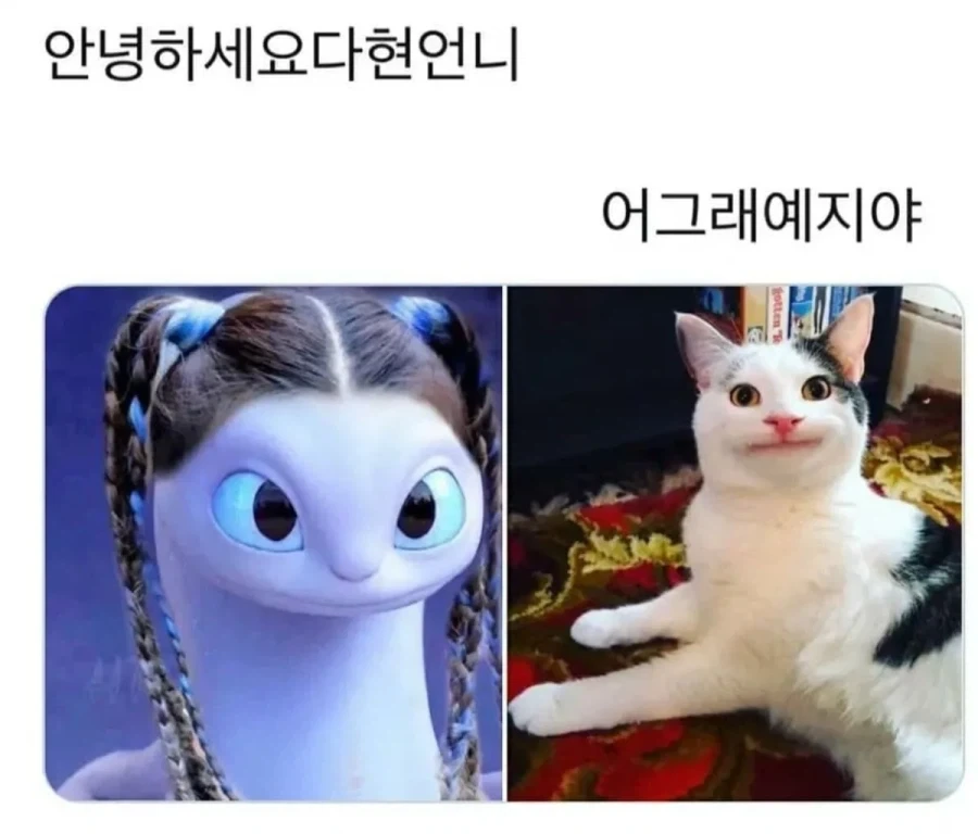 안녕하세요 다현 언니_1.webp