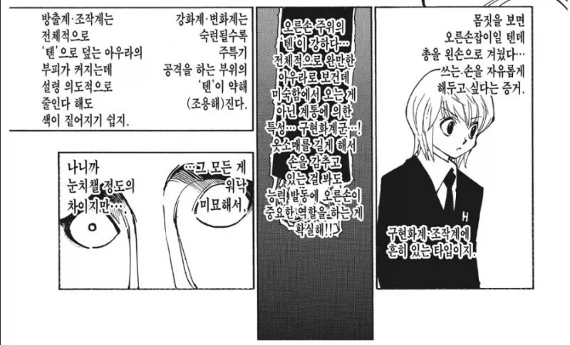 헌터x헌터 설명충인데 호감인 놈 甲.jpg_3.webp