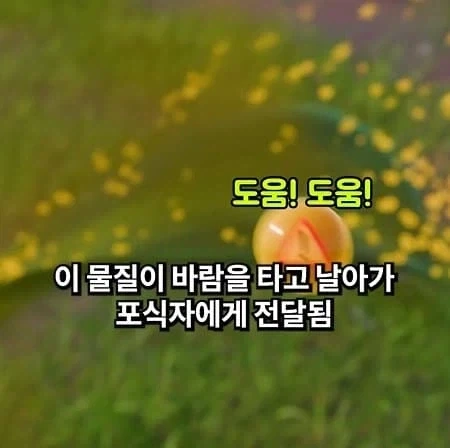 천적을 소환하는 식물_4.webp