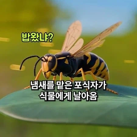 천적을 소환하는 식물_6.webp