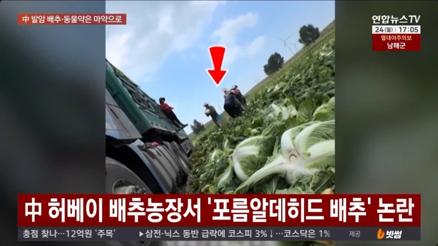 중국에서 먹거리 대참사 터짐_2.webp