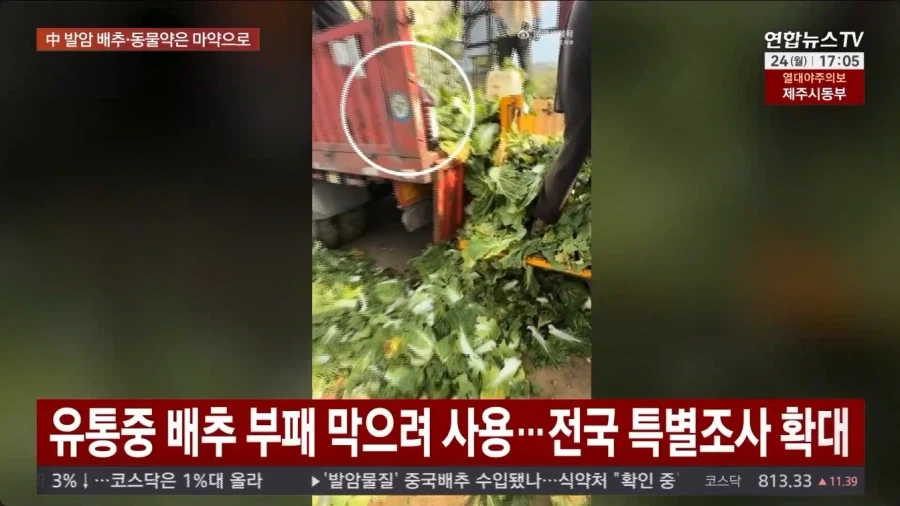중국에서 먹거리 대참사 터짐_3.webp