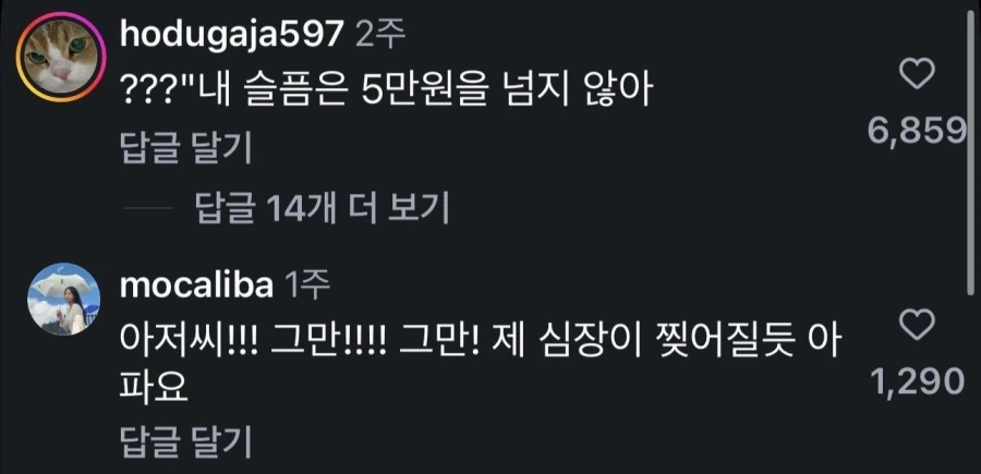 제 슬픔은 오만원을 넘지 않습니다_2.webp