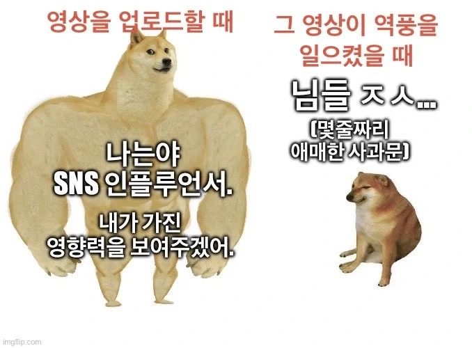 자칭 유명 SNS 인플루언서의 영상 업로드 전/후_1.webp