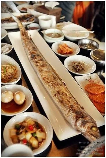 제주도 혼자 여행 가면 안되는 이유_1.webp