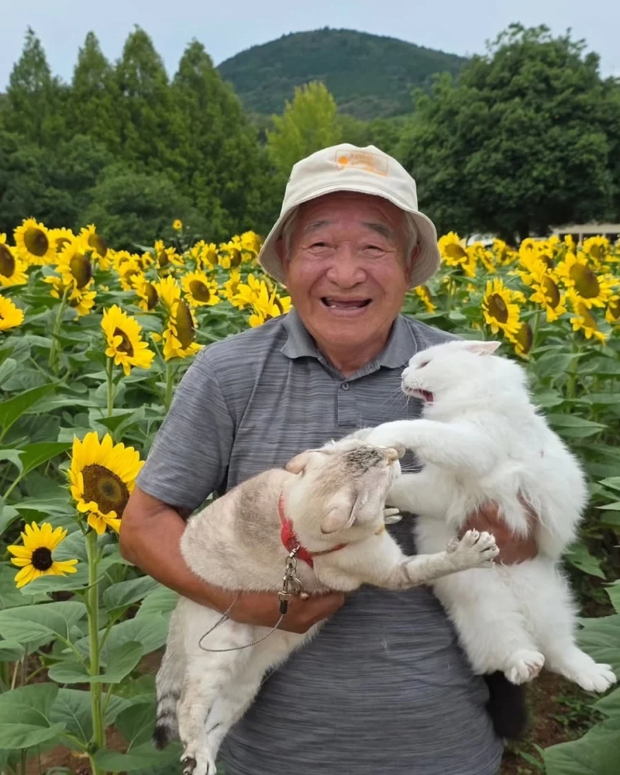 할부지와 고앵이들_1.webp