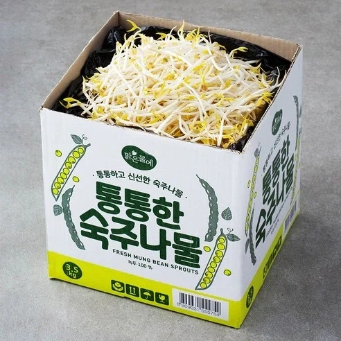 식자재 마트 갔다가 숙주나물 원 없이 먹어본 적 있음._3.webp