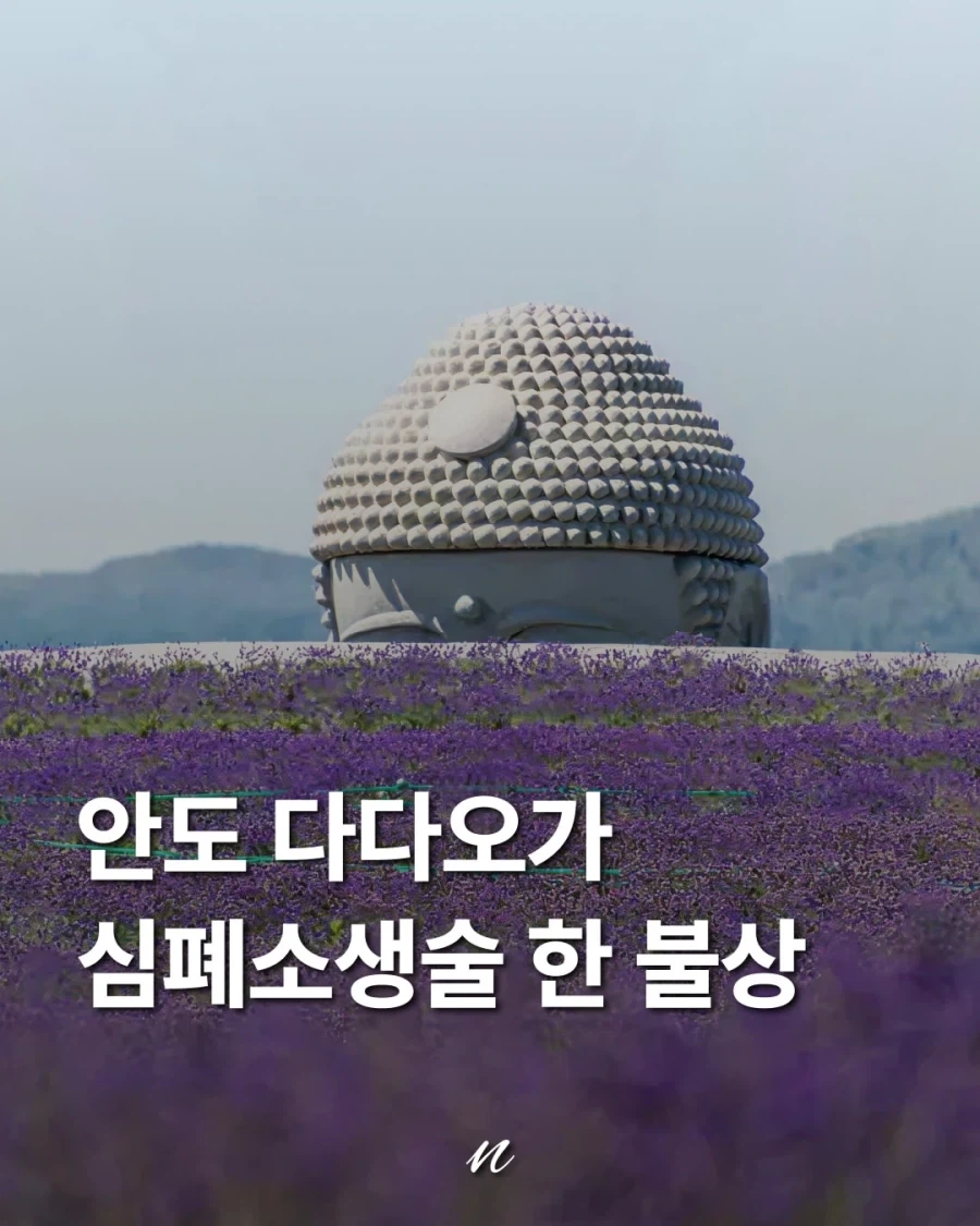 안도 다다오가 심폐소생술 한 불상.jpg_1.webp