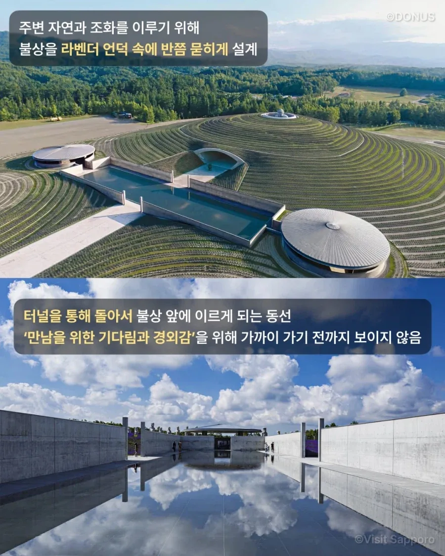 안도 다다오가 심폐소생술 한 불상.jpg_3.webp