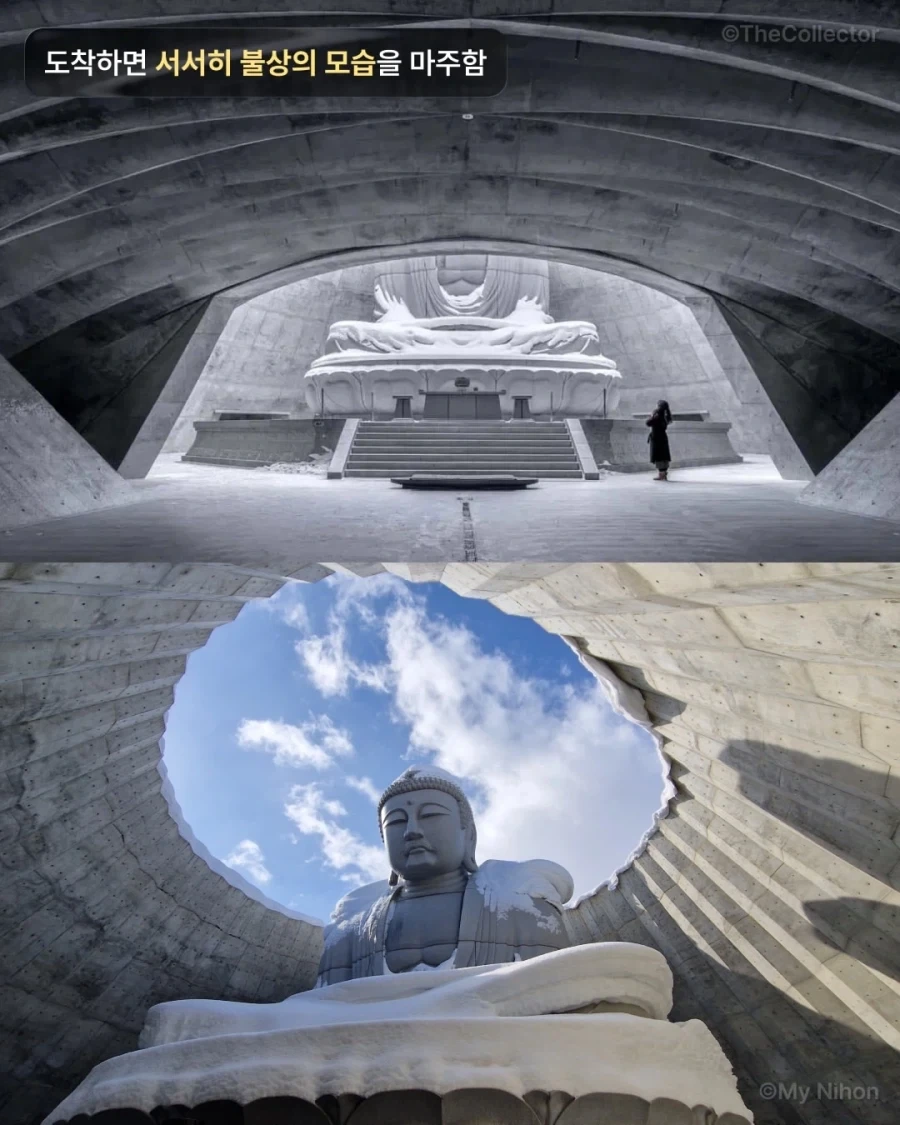 안도 다다오가 심폐소생술 한 불상.jpg_4.webp