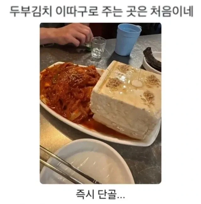 두부김치 이따구로 주는 곳은 처음이네.jpg_1.webp