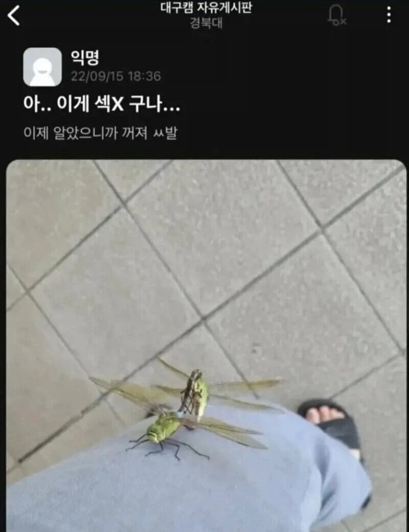 아… 이게 ㅅㅅ구나….jpg_1.webp