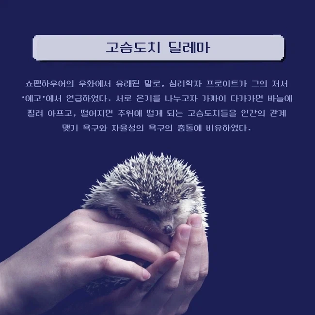 ＇신세기 에반게리온＇으로 본 관계 맺기와 고슴도치 딜레마 이미지 6