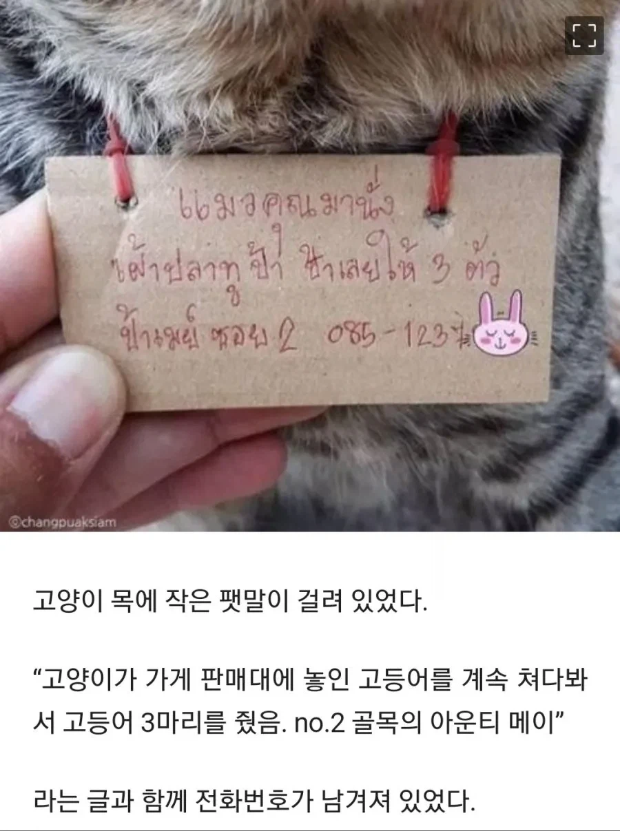 냥아치: 어이 지갑! 대신 좀 내라_1.webp