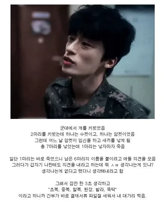 합법적인 군대 부조리_1.webp
