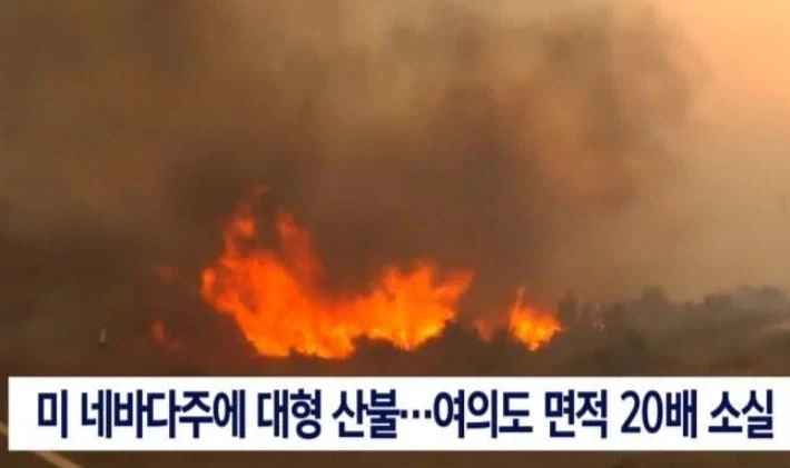 의외로 한국판 야드파운드급이라는 용어_4.webp