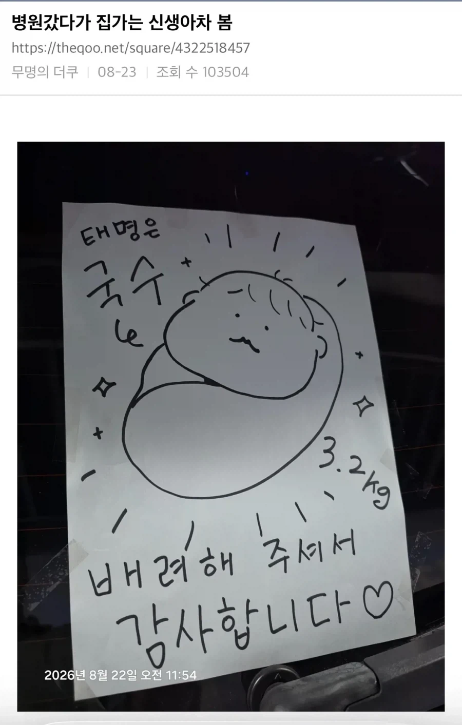 막 태어난