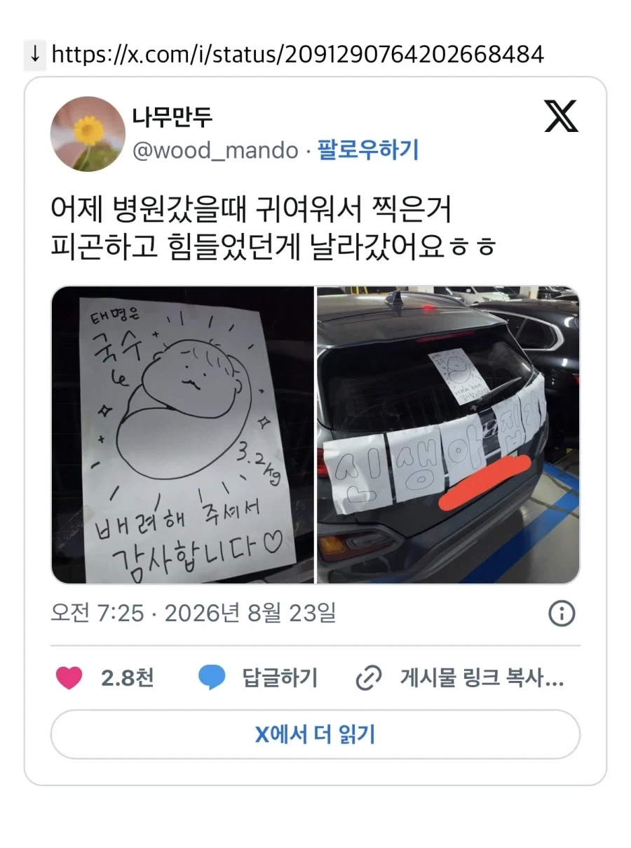 막 태어난