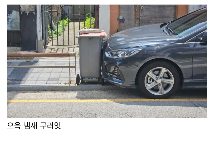 이게 그 복종의 자1지키스인가 그거냐_1.webp