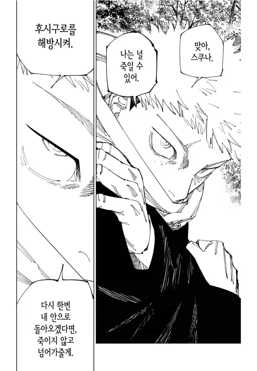 주술회전) 나락가던 주인공 주가 떡상시킨 장면 甲.jpg_1.webp