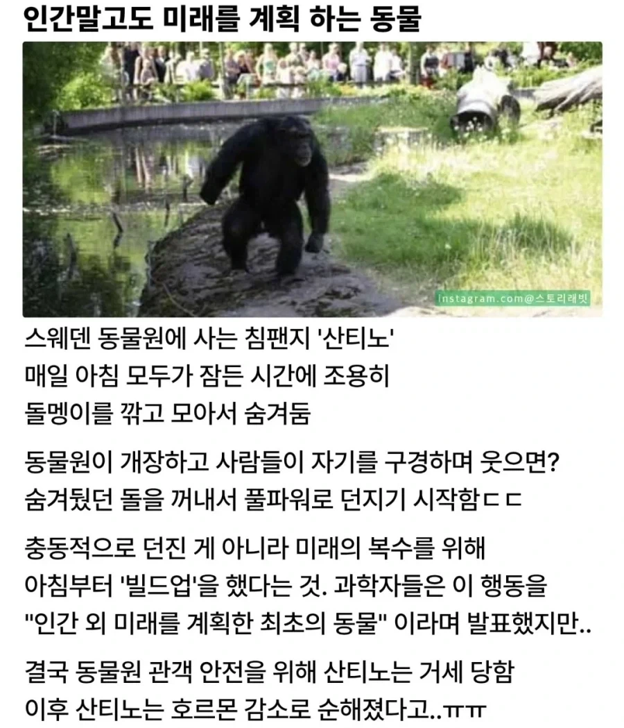 미안.. 지각했어요...jpg 이미지 2