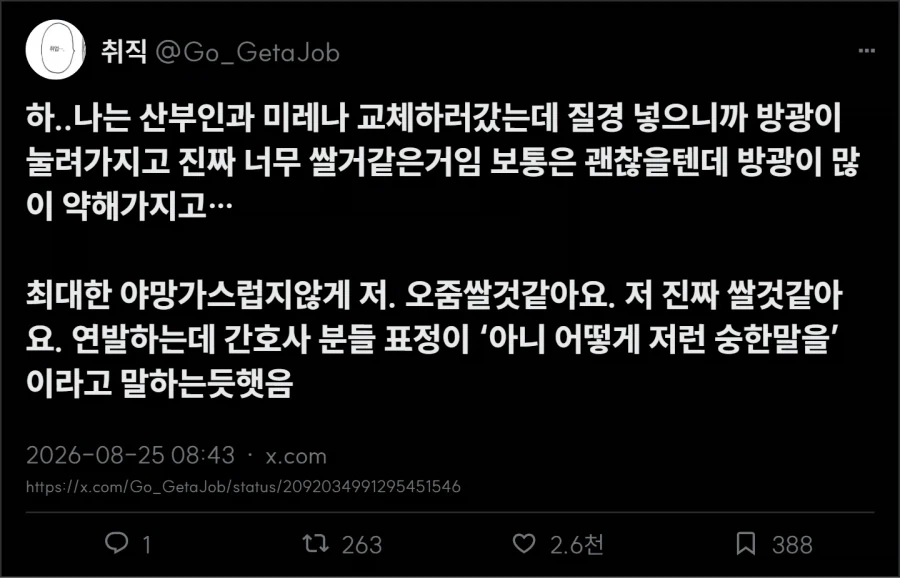 질정 후기_4.webp