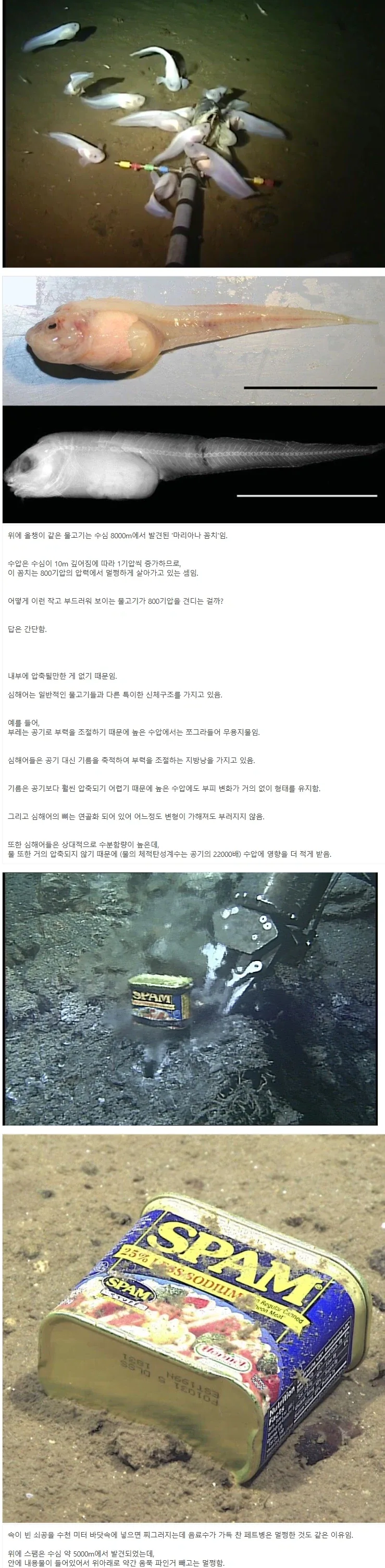 짝남한테 여자친구가 있다고 한다 대표 이미지