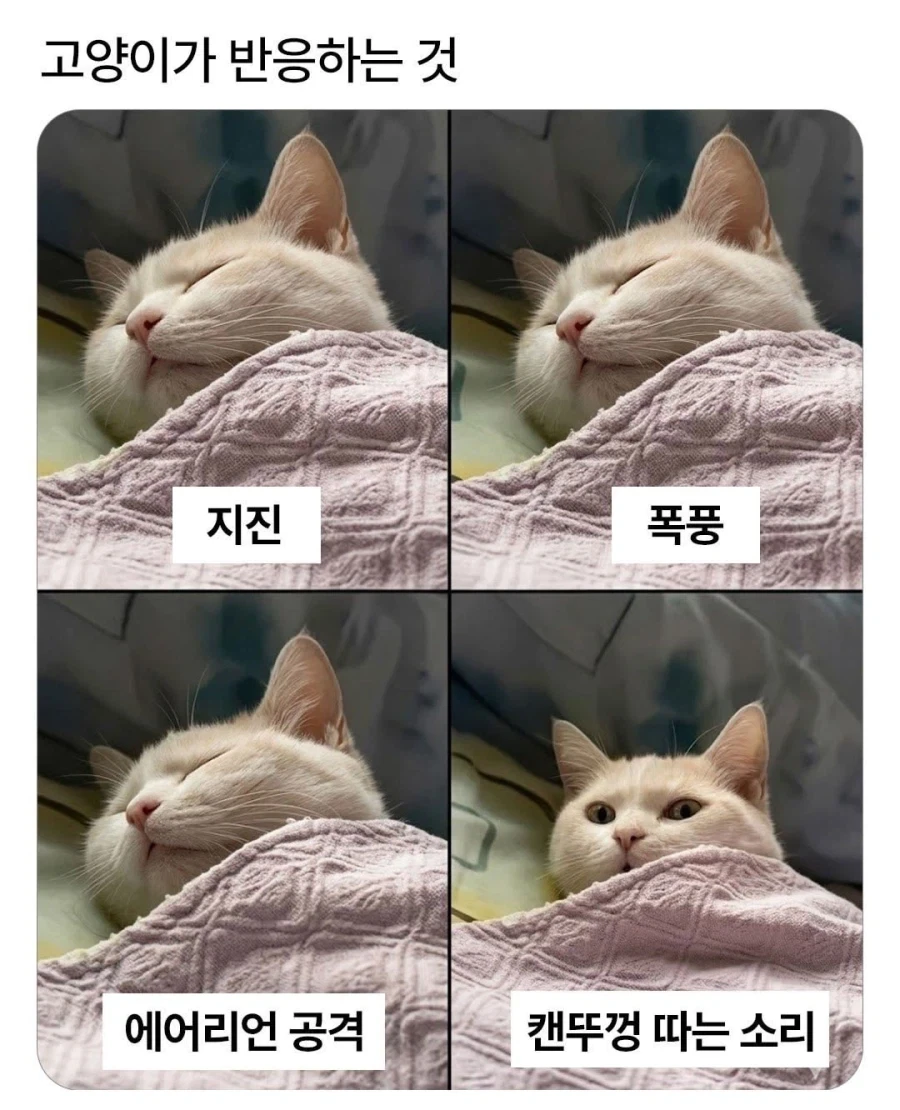 델 토로가 만든 프랑켄슈타인의 끔찍한 괴물 특 대표 이미지