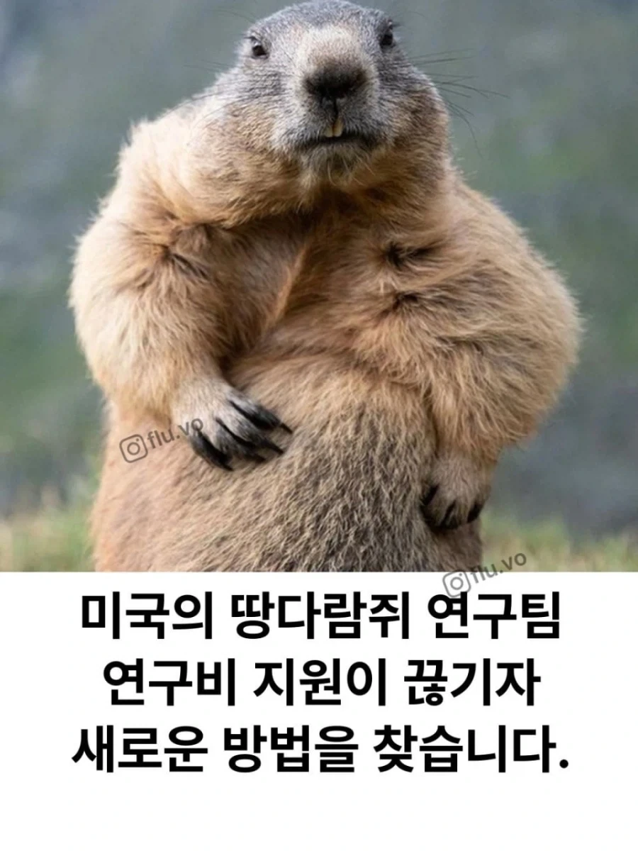 외모 잘생긴거 오래가지 않는다고? 이미지 8