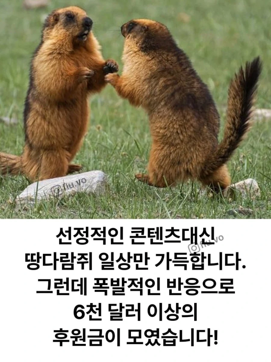 돈 떨어지자 온리팬스를 시작..._3.webp