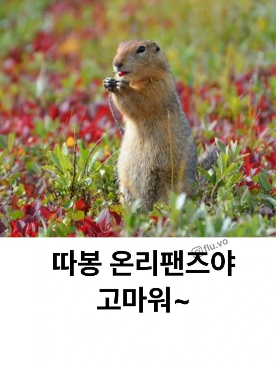 돈 떨어지자 온리팬스를 시작..._5.webp