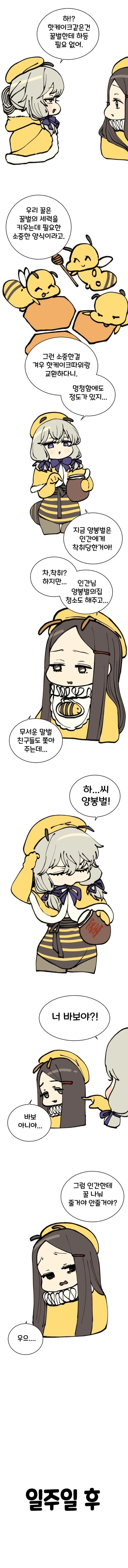 귀여운 꿀벌 만화_4.webp