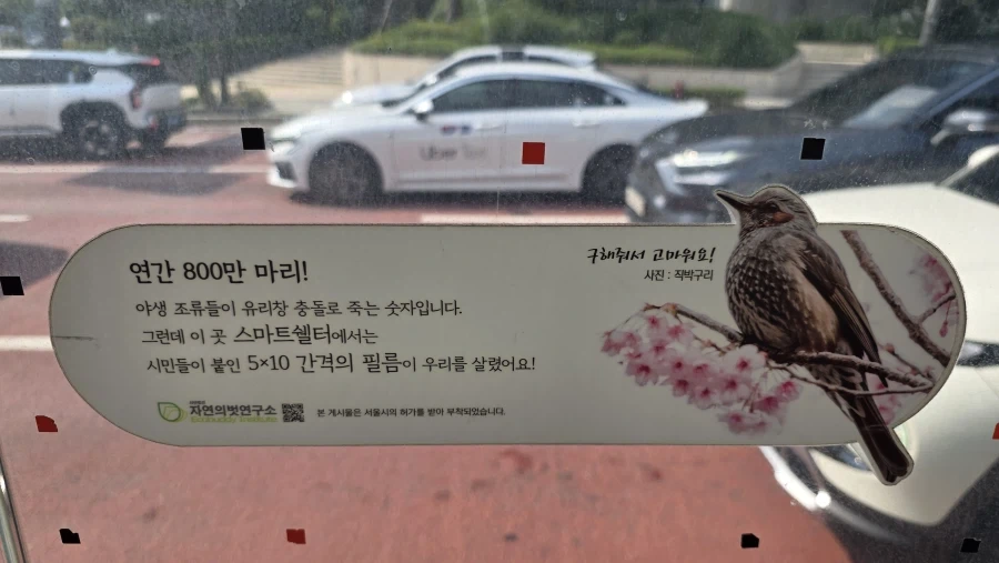 스쿠나 ㅈ되다 이미지 7