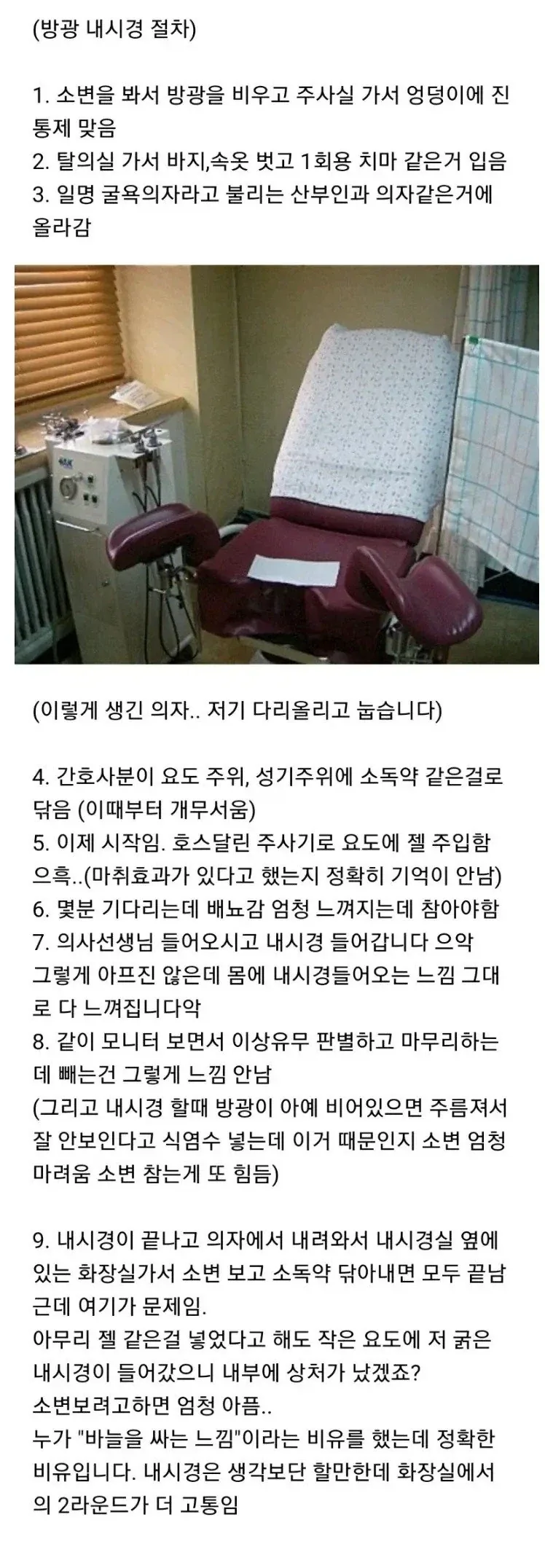 의외로 미국에서 서양 배 먹다 걸리는 병 대표 이미지