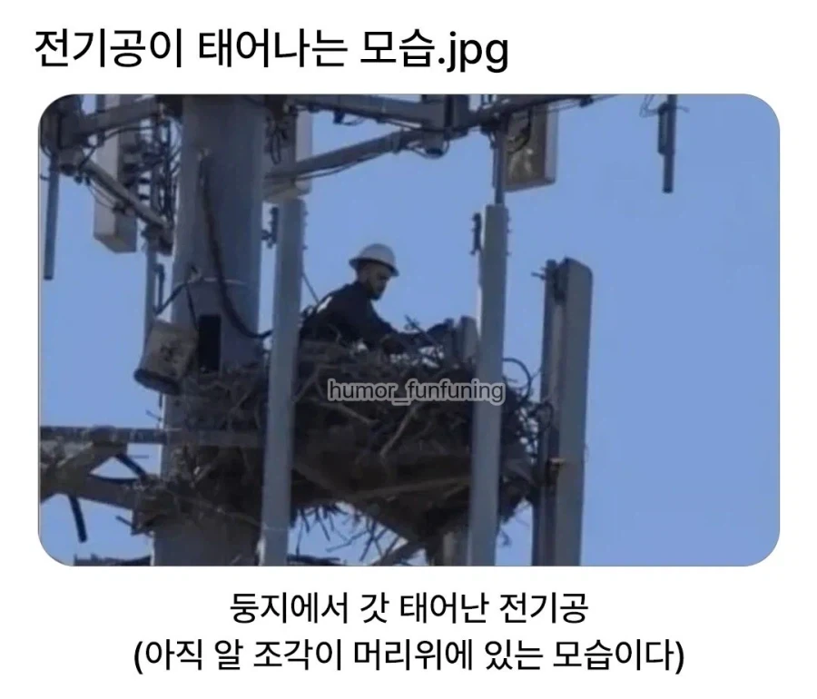 억울한 엑스러 대표 이미지