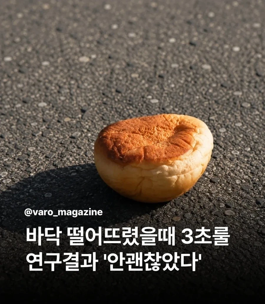 15m 공중에 거꾸로... 1인당 4억 배상 대표 이미지