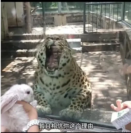 민영화의 폐해_3.webp