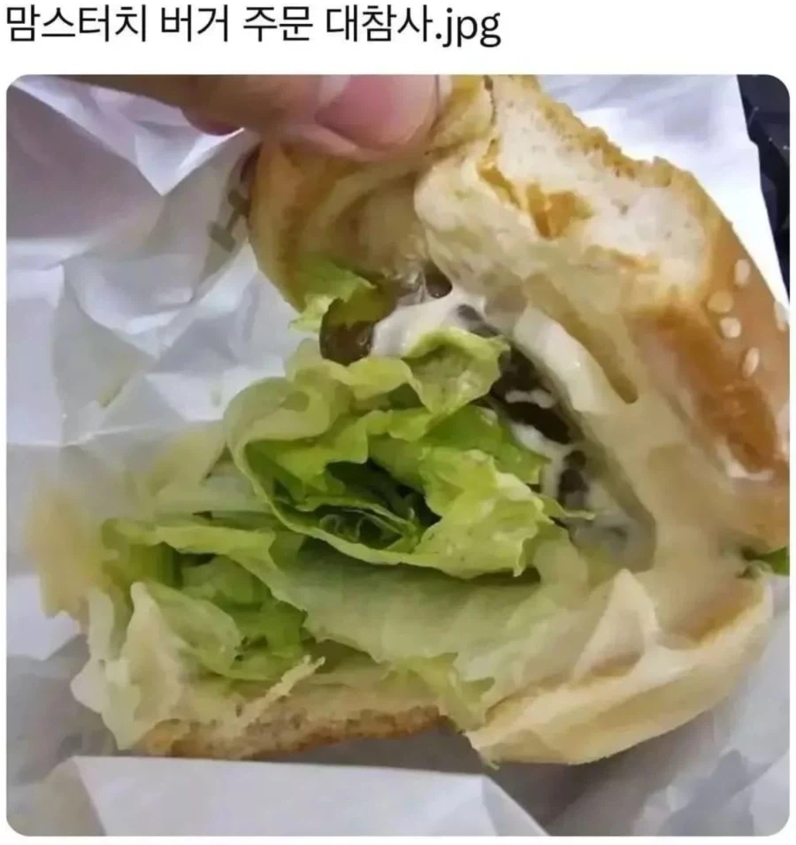 벼룩파리 새끼 빛의 속도로 잡았다. 대표 이미지