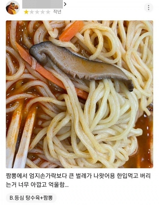 코난)메구레, 코고로의 모티브 대표 이미지