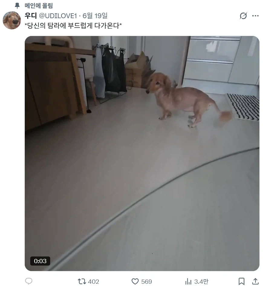 코가 다리보다 더 길어서 슬픈 짐승_2.webp