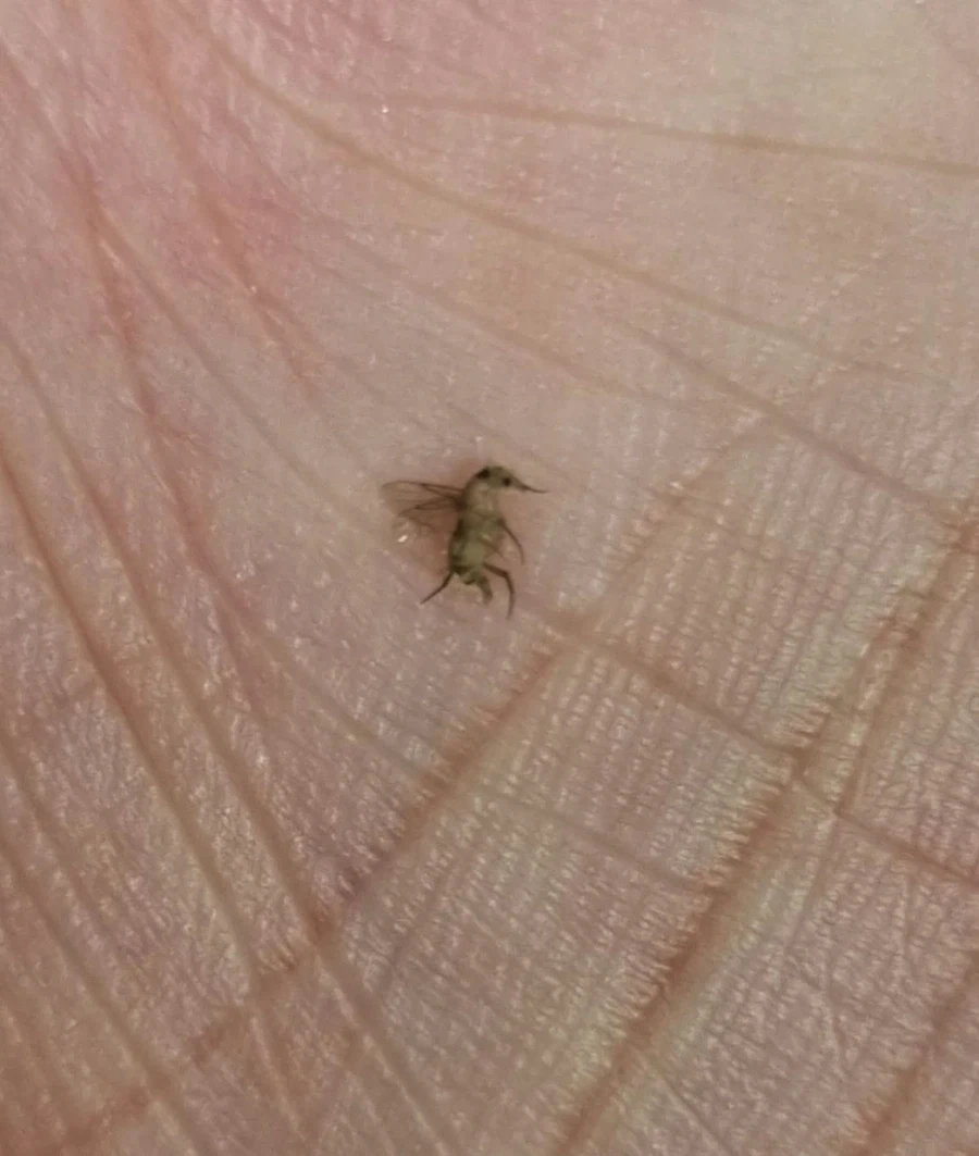 안흔한 성검을 뽑은 주인공.웹소 이미지 7