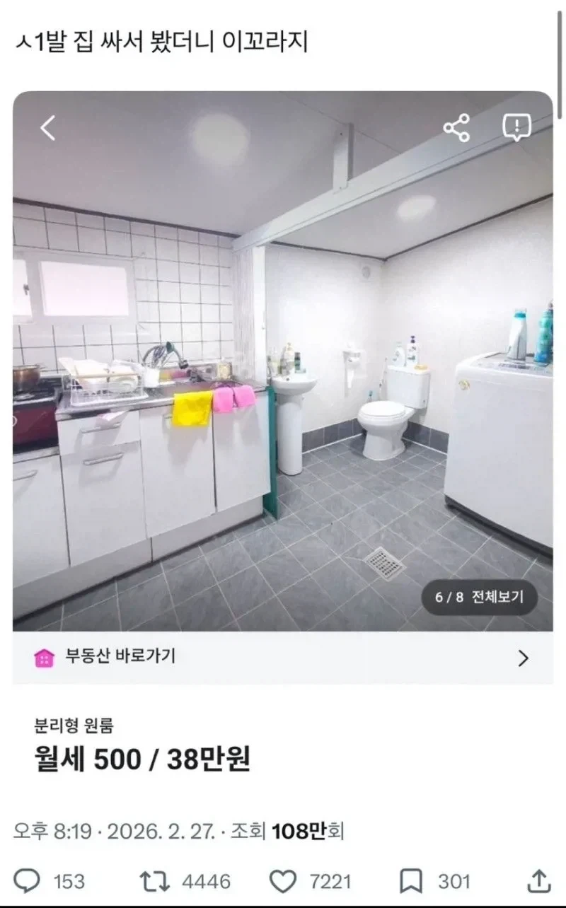 MBTI 유행하고 그지같은 것 대표 이미지