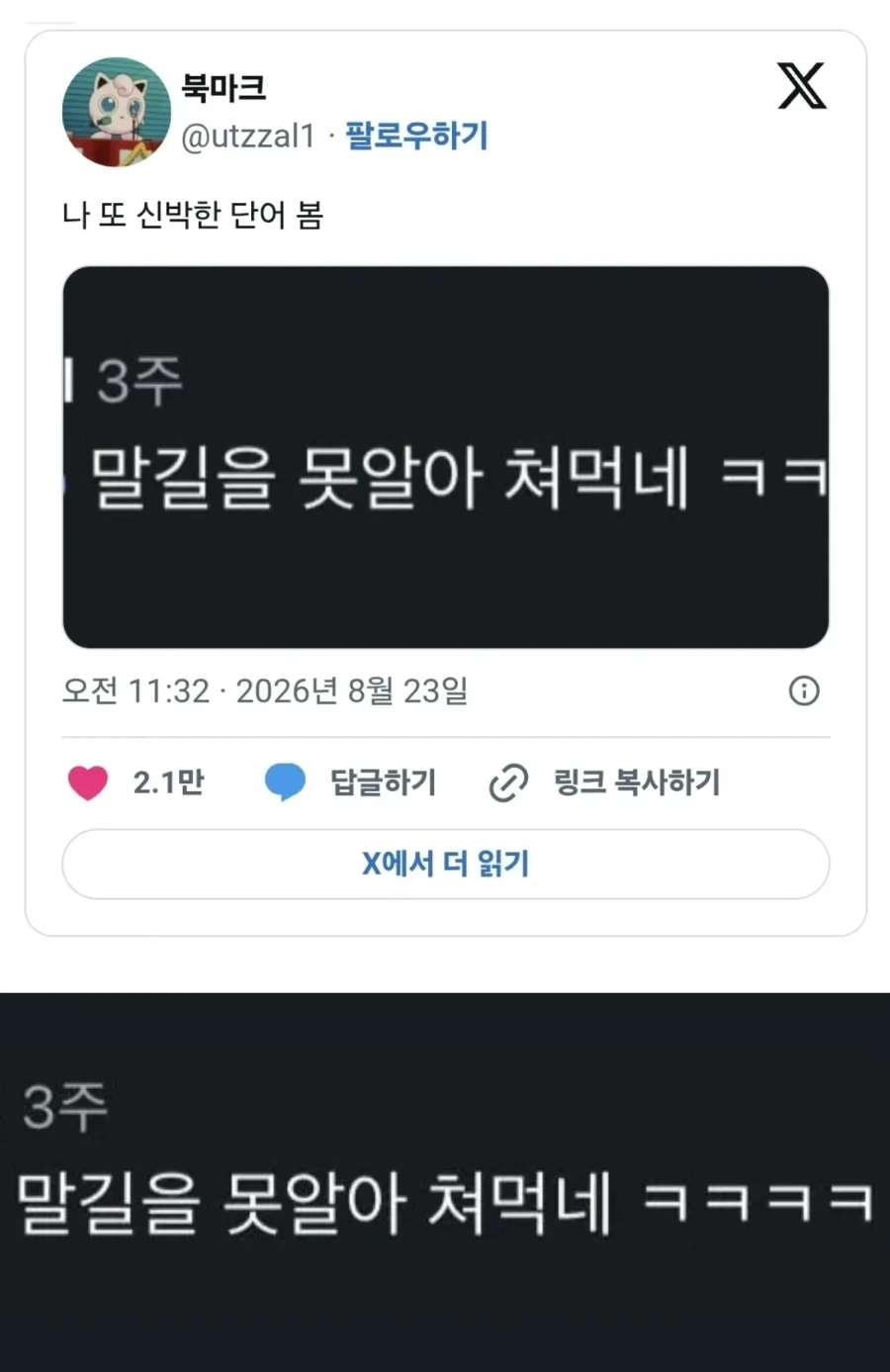 제주경찰 "휴가가서 보고가 늦어져" 주장.jpg 대표 이미지